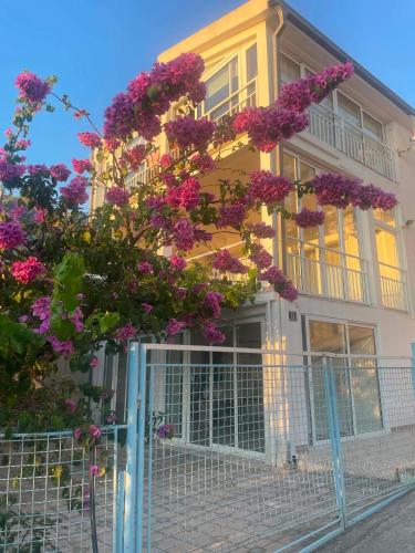 Vila Mirjana