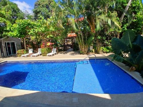 Jaco Lodge in Jaco