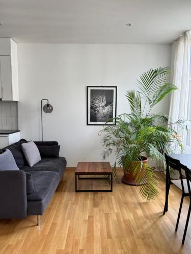 Luxury Apartment in Central Geneva in Genf, Schweiz