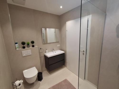 Wunderschönes 3 Zimmer Apartment in Salzburg, Salzburg (Foto 6)