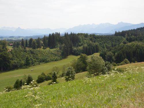 Landgasthaus Mittelallgäu