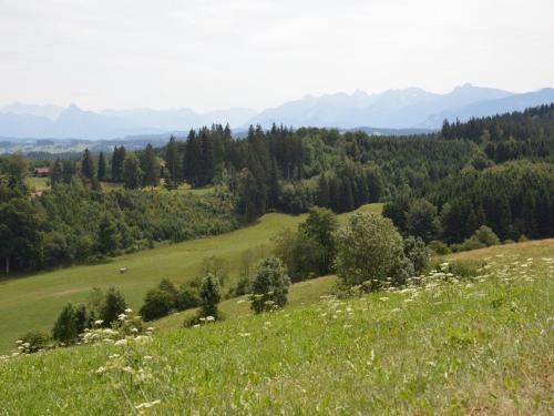 Apkārtne, Pension Mittelallgau in Betzigau