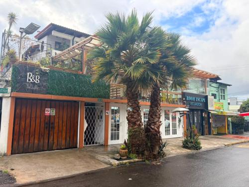 Bed And Breakfast La Uvilla