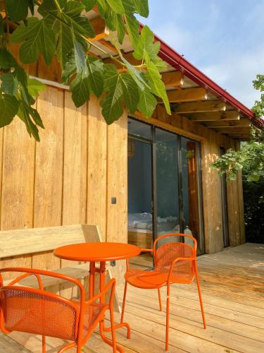Karma Hostel in Martvili
