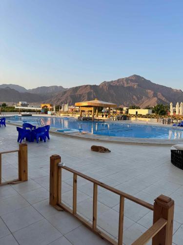Sondos Camp in Taba
