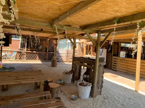 Meerkat Manor in Bosbury