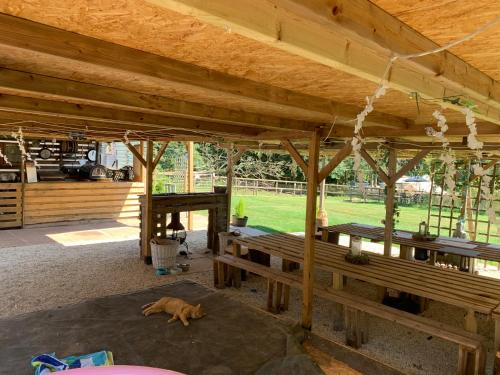 Meerkat Manor in Bosbury