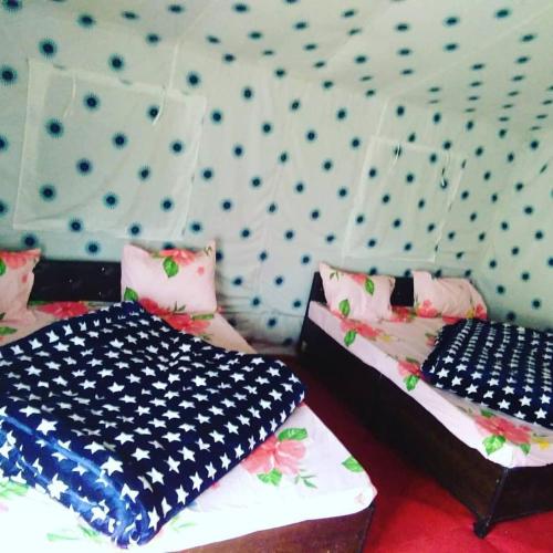 Chaukhamba Camp Stay in Duggal Bittha