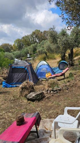 Shepherds Cabin in Kadita - בקתת רועה בקדיתא in Dalton
