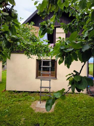 Sauna Suite 1 in Tolliste