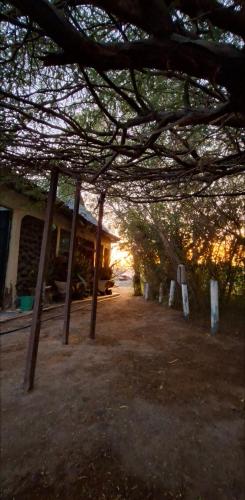Nchaman Nest