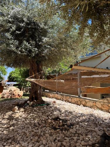 Aed, Villa Elfandari in Hatzor Haglilit