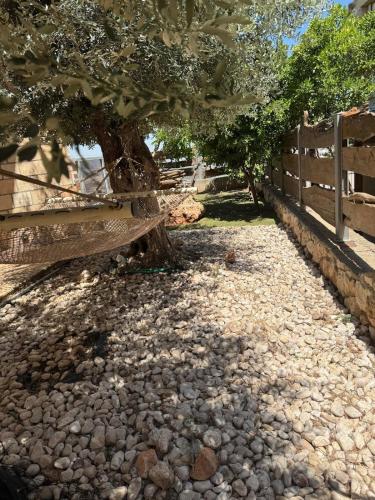 Aed, Villa Elfandari in Hatzor Haglilit