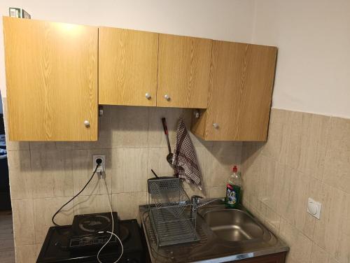 Apartman Milan PROMENADA in Врняка Баняа