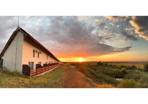 Danube Delta View - Tap to explore photos