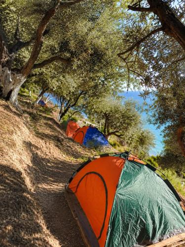 Blue Camping in Borsh, Vlorë (Blue Camping in Borsh, Vlore) in Qazim Pali