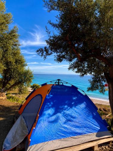 Blue Camping in Borsh, Vlorë (Blue Camping in Borsh, Vlore) in Qazim Pali