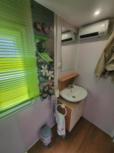Exterior view, Mobil-home de charme in Anglefort