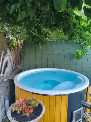 Villa Pacchini Wellness & Relax Retreat in Poggio Mirteto