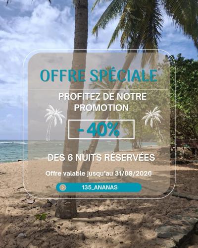 135_ananas_bdg - Location saisonnière - La Trinité