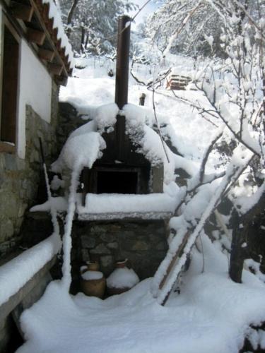 A környék, Flora's House in Spilia