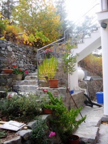 Flora's House - image 7