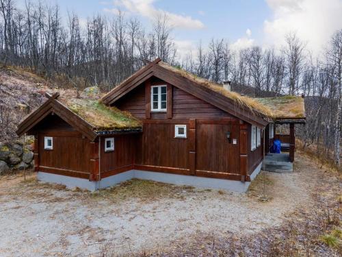 The Cabin by Hallingskarvet in Skoro