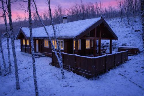 The Cabin by Hallingskarvet in Skoro