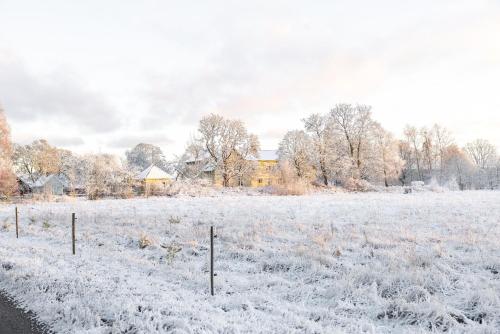 Daretorp Nyskogen in Galleberg