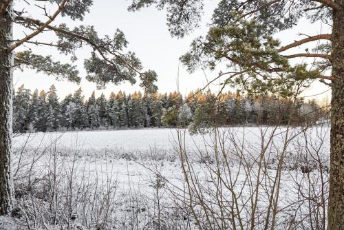 Daretorp Nyskogen in Galleberg