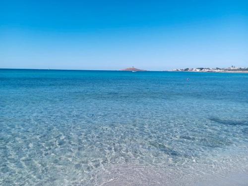 sapore di mare
