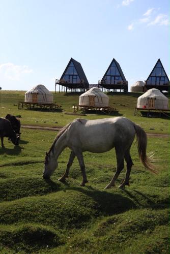Yurt Camp by Fly Service in Tuz