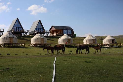 Yurt Camp by Fly Service in Tuz