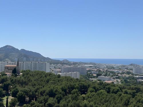 Beau T5 avec terrasse et vue mer - image 4