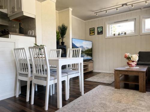Faciliteiten, Homey apartment near Gol Town Center in Gol