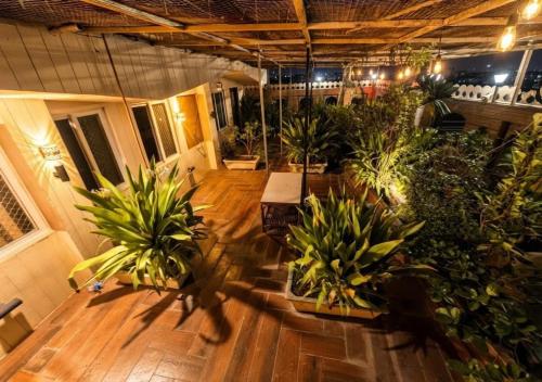 Kert, HOTEL ROYAL PALACE in Csittorgarh
