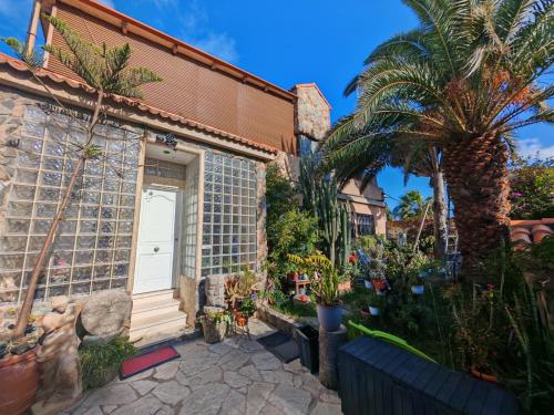 Casa El Drago - Gran Canaria - Las Palmas de Gran Canaria