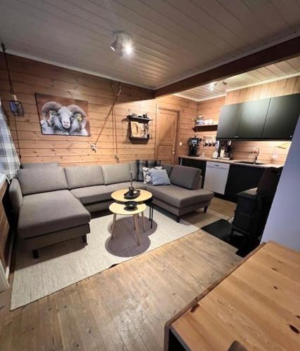 Voss Resort self-service apartments 5