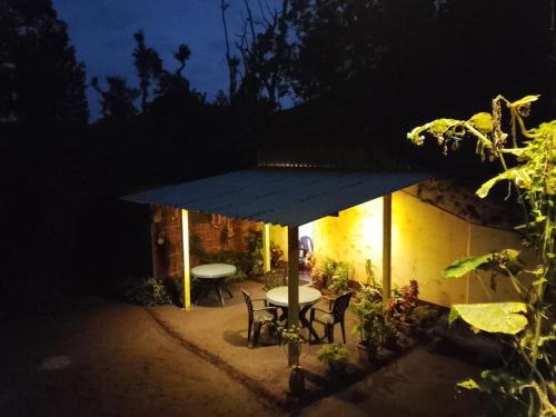 Restorāns, The Dream in Shanivarasanthe