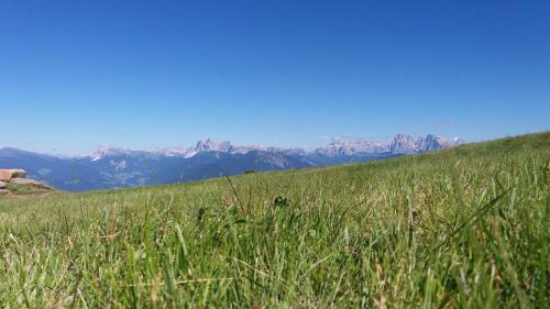 马尔塞特霍夫农家乐