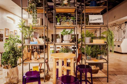Foyer, Wombat's City Hostel Budapest in Budapeszt