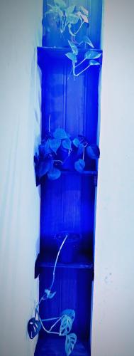 Beloved Paradise - image 3