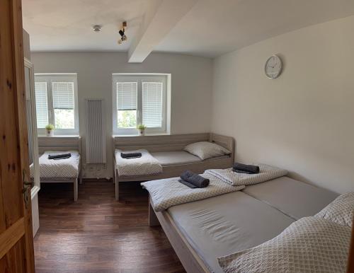Apartman Spicak in Zelezna Ruda