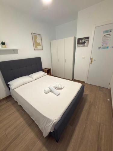 Rooms Sincelejo, Madrid