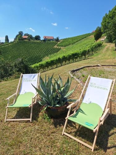 Summer Wine romantisches, fahrradfreundliches Weinbergidyll mit Traumausblick gleich neben Buschensc in Glanz An Der Weinstrasse