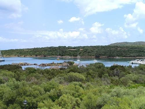 La casa di Gavina
