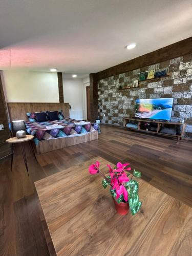 Villa ANA-Mavrovo in Mavrovo