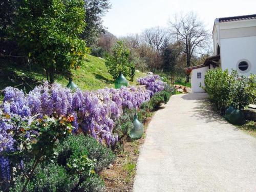 Il Maniero – Cassino, NH