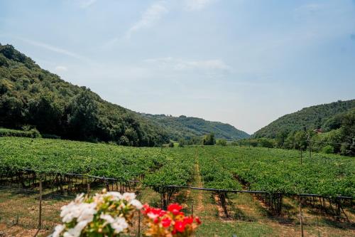 VAIO NEST Elegante rifugio tra i vigneti in Mezzane Di Sotto
