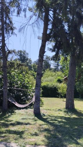 Vila Sunce in Glozan